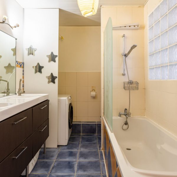 Appartement-duplex-Nanterre-La-Defense-lumineux-jardin